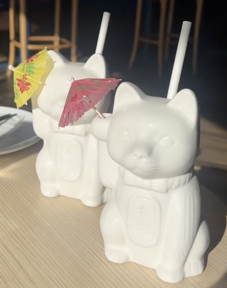 Cute cat highball glass