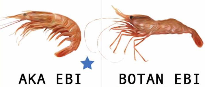 Ebi